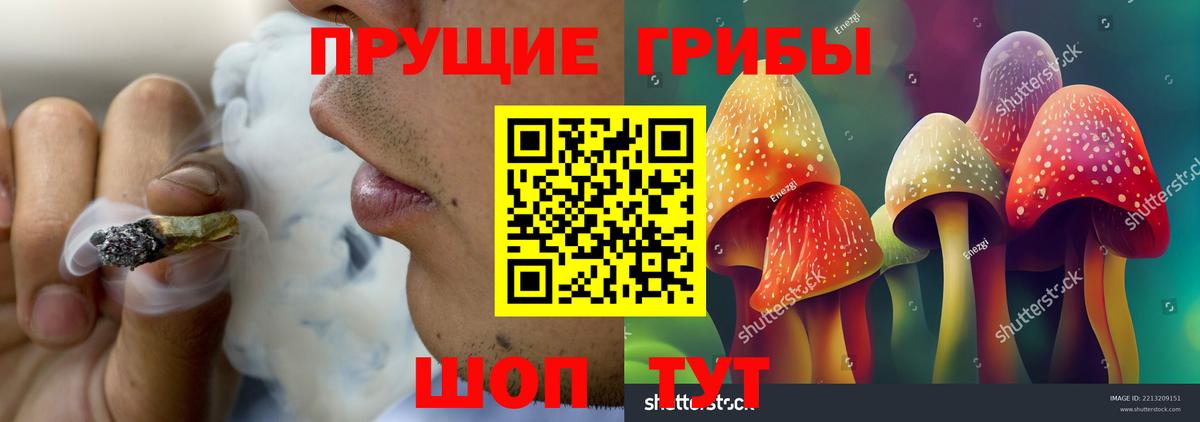 Галлюциногенные грибы Psilocybine cubensis  Галлюциногенные грибы мухоморы  Вход с VPN  Киреевск 