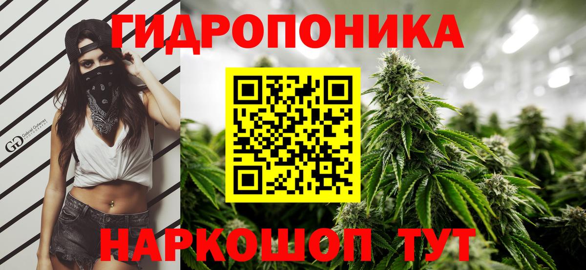 Марихуана THC 21%  Каннабис MAZAR  Вход с VPN  Шишки марихуана планчик  Киреевск  Шишки марихуана план 